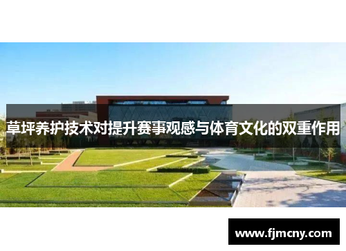 草坪养护技术对提升赛事观感与体育文化的双重作用