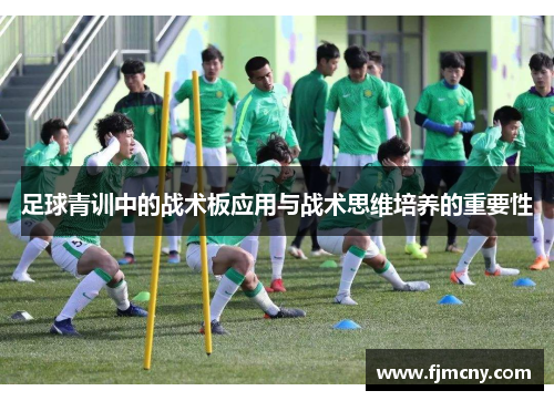 足球青训中的战术板应用与战术思维培养的重要性